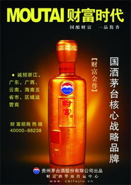 茅臺(tái)財(cái)富酒