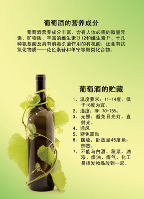 【208海報辦公裝飾展板3376 葡萄與葡萄酒小知識】價格,廠家,圖片,銅版紙,新豐縣新奇麗廣告設計制作室-