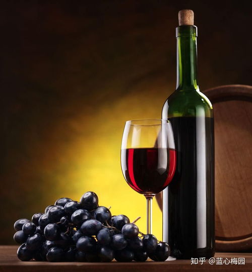 傳成酒械告訴你釀酒的好時(shí)節(jié)